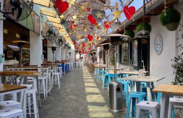 La casa del león dormido - Foto 76