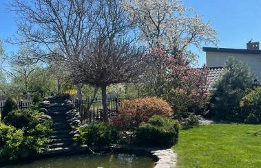 Villa Klimontów - Foto 23