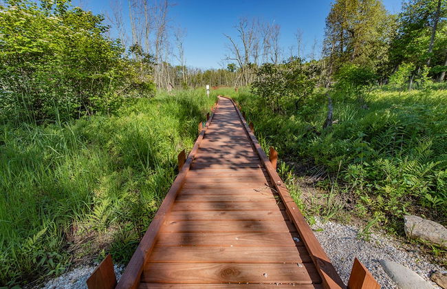 The Rushes - Foto 57