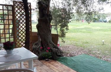 Domus Antiga Appartamenti - Foto 20