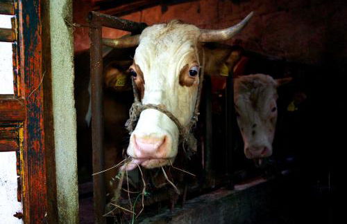 Agriturismo Il Raduno - Foto 101