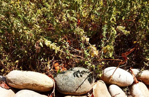 Libyan Sea Sunset - Foto 22