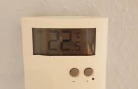 FeWo Lingenfeld - Foto 40