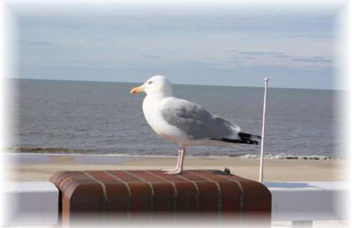 Haus Wattenblick EG - Foto 10