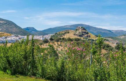 El Masegal - Photo 10