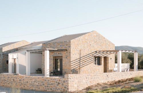 PETRINO FOINIKOUNTA - Foto 25