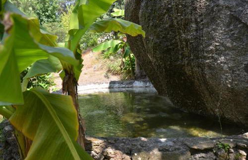 Quinta de S. Vicente 317 - Foto 66