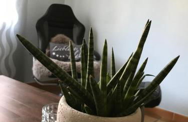 Ferienwohnung Frevel - Foto 6