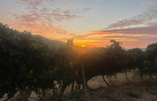 Quintinha De Pinouco - Foto 43