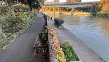 Petite maison cosy en bord de Marne 2 lits en mezzanine - Foto 5