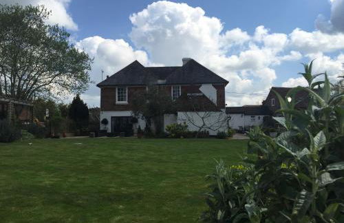 Ingram House with Hot Tub - Foto 41