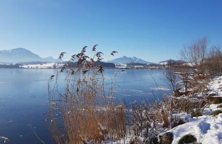 Ferienwohnung Carlina - Foto 23