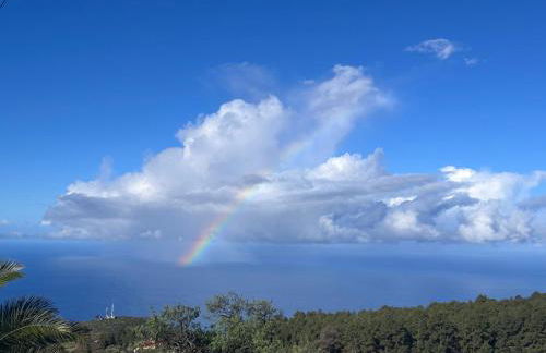 Casa Noroeste - Foto 40