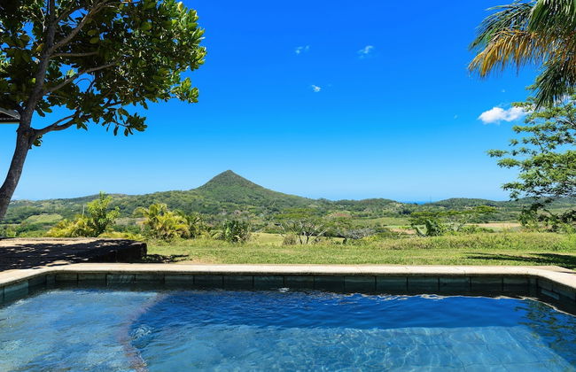 La Vieille Cheminee - Photo 44