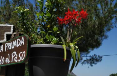 Cortijo La Solana - Foto 29