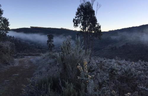 O Muíño da Balsiña - Foto 52