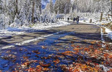 Willa Rąbanisko z sauną fińską - Foto 57