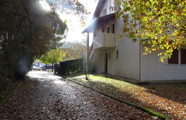 Les écureuils - Foto 17