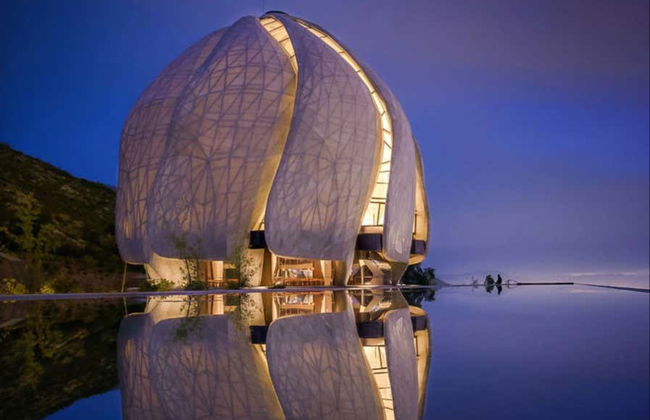 Tour por la Viña Cousiño Macul y el Templo Bahaí - Foto 2