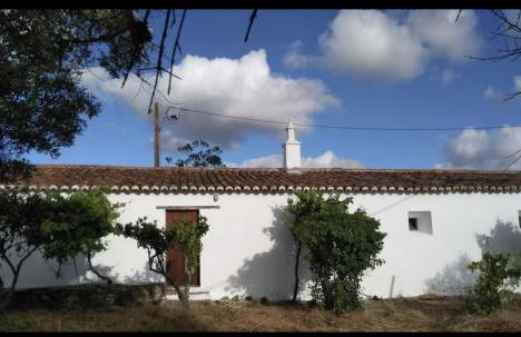 Monte das Doceitas - Foto 23