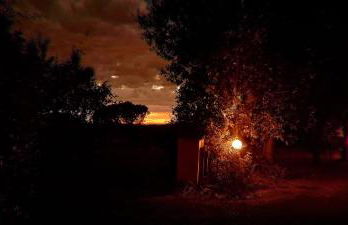 Podere Il Cerrone app Romilda con piscina - Foto 64