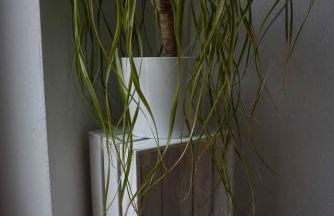 Ferienwohnung Sporn - Photo 11