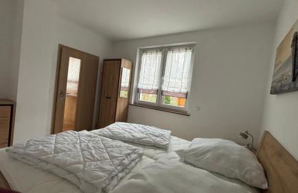 Muschel am Strand - Foto 13