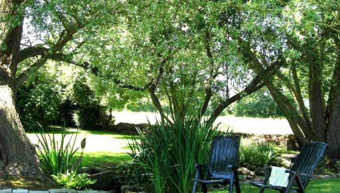 Gîte Les 3 Voiles - Foto 4, Garden