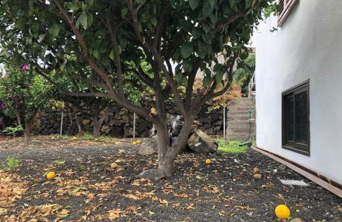 Casa Rural Los Frailes - Foto 16