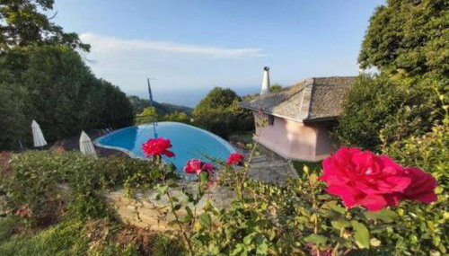 Tsagkarada Country Estate with Pool - Foto 2, Garden