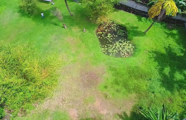 Horahena Farm Stay - Foto 26