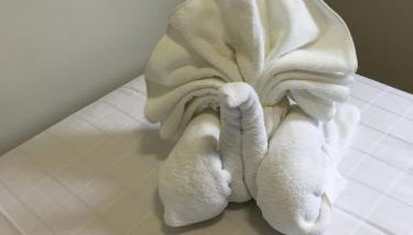 Jardín San Pelayo - Foto 2