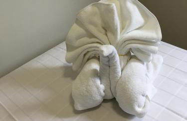 Jardín San Pelayo - Foto 2