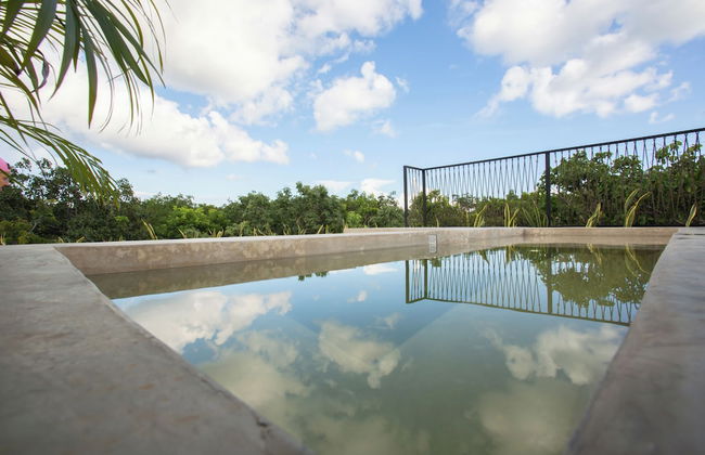 Arba Condo - Photo 35