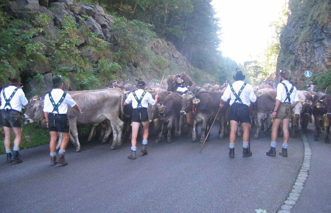 Hofatsblick With Sauna - Foto 11