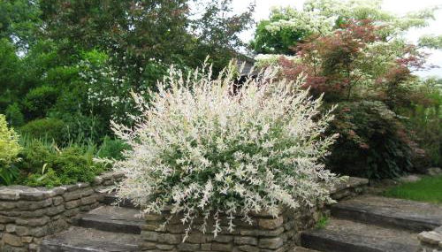 Gites du ROHERAN - Foto 4, Garden view