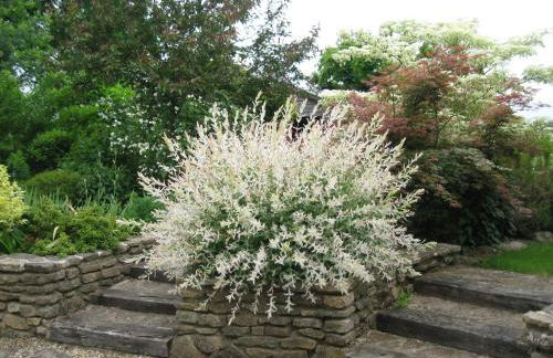 Gites du ROHERAN - Photo 4