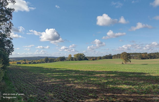 Agroletnica Country house - Foto 67