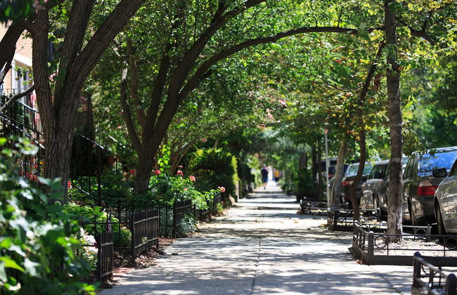 Glover Park - Georgetown - Foto 48