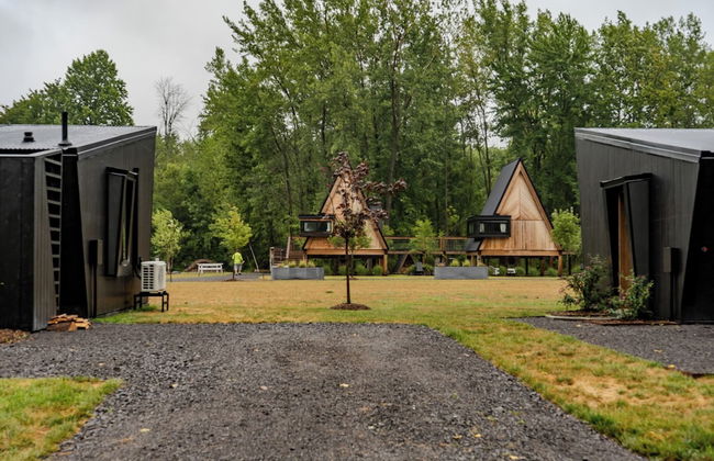 Finger Lakes Treehouse & Spa - Foto 40