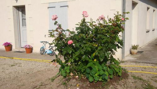 La Tuilerie - Photo 2