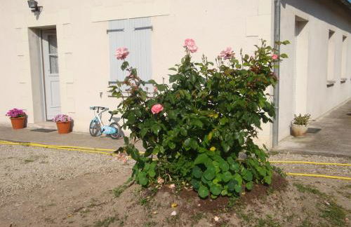 La Tuilerie - Foto 2