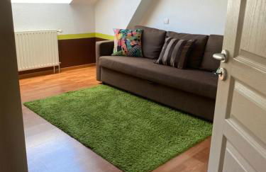 La Gentiane bleue, vue lac Saint Point - Foto 18