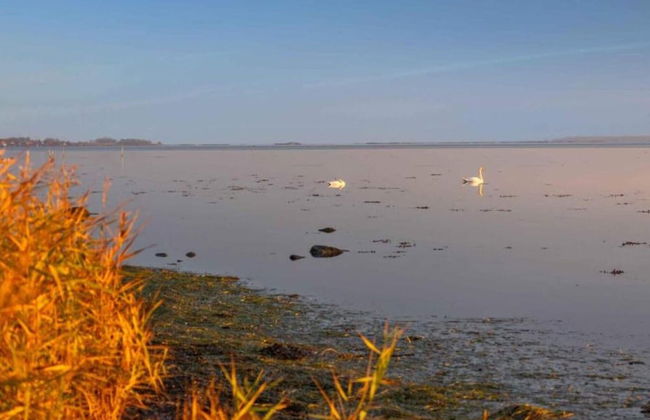 4 Star Holiday Home in Kalvehave - Foto 22