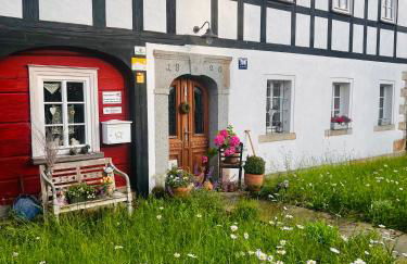 Apartment Cats Forest - Foto 11