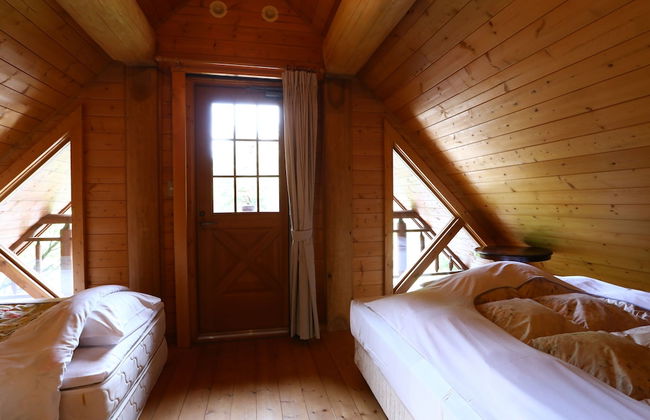 Campagne Hakuba - Foto 12