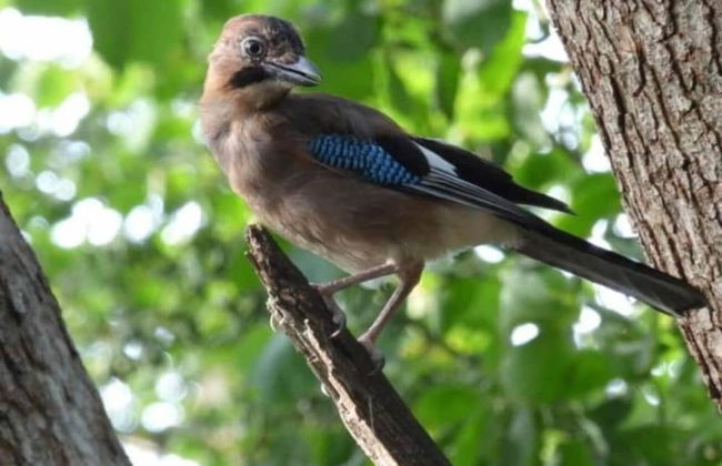 Min yr Afon - Cabin - Sleeps 2 - Hot Tub - Parking - Photo 17