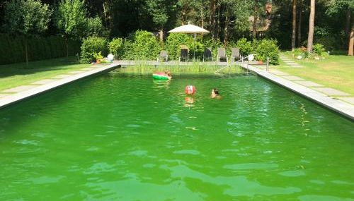 Schmeling Haus Bad Saarow - Photo 3, Garden, Garden view