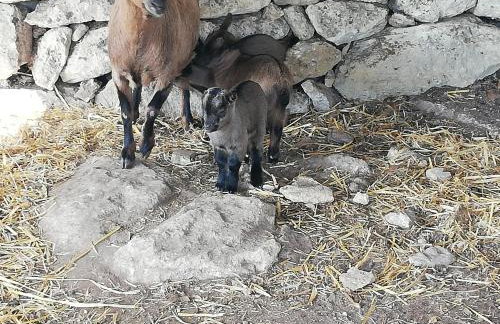 Le Grotte di Sileno - Foto 51