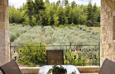 Κτήμα Verde - Foto 36